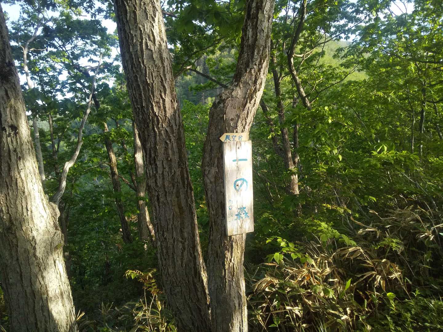 風が出て来て助かる