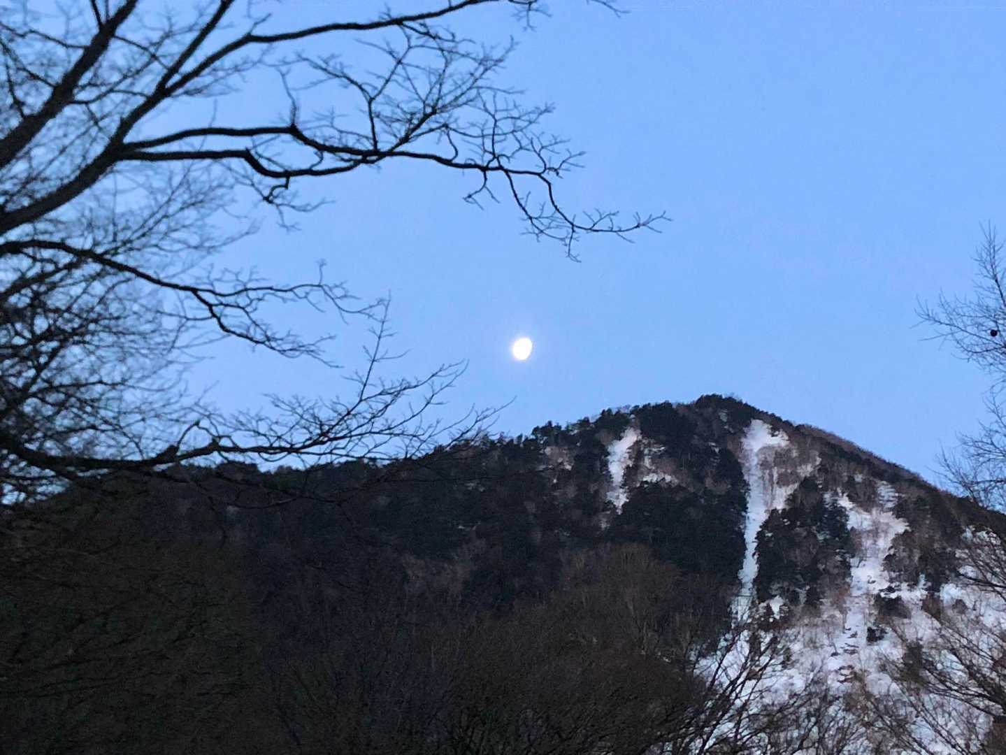 月に吠え・・・ません