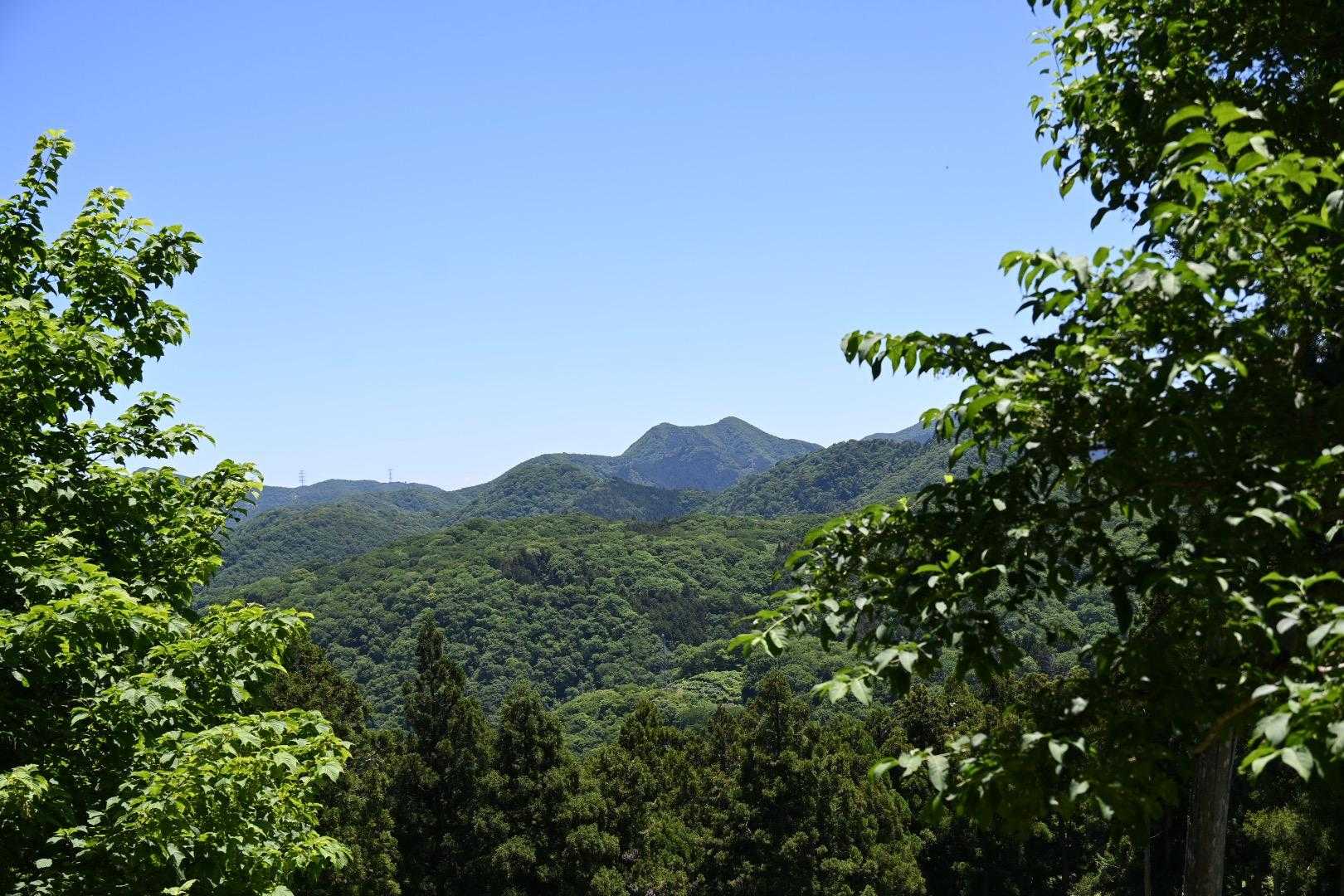 遠くに、なんだか猫ちゃんみたいな耳のあるお山があった⛰️

猫耳山と勝手に命名😆