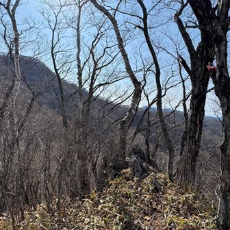 前ペラリ山　登頂‼️