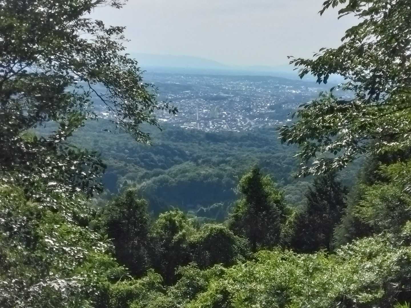 物見山 周回コースの写真