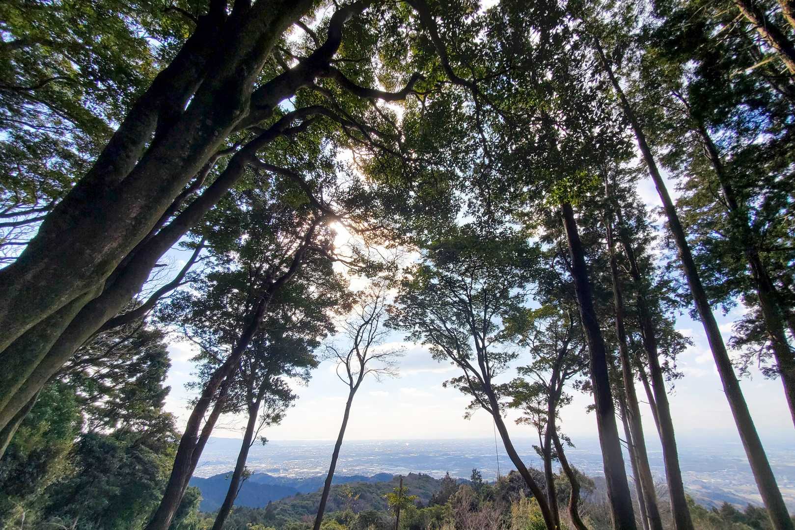 癒されます🌳