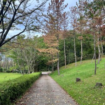 綺麗な公園