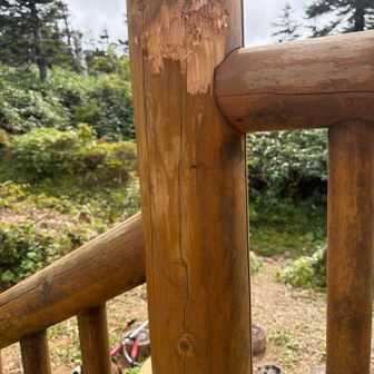 最近クマに齧られマーキングされた痕跡が、小屋の入口に。