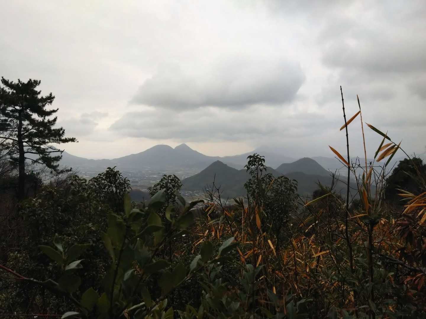 風穴登山口-志保山-七宝山-稲積山 縦走コースの写真