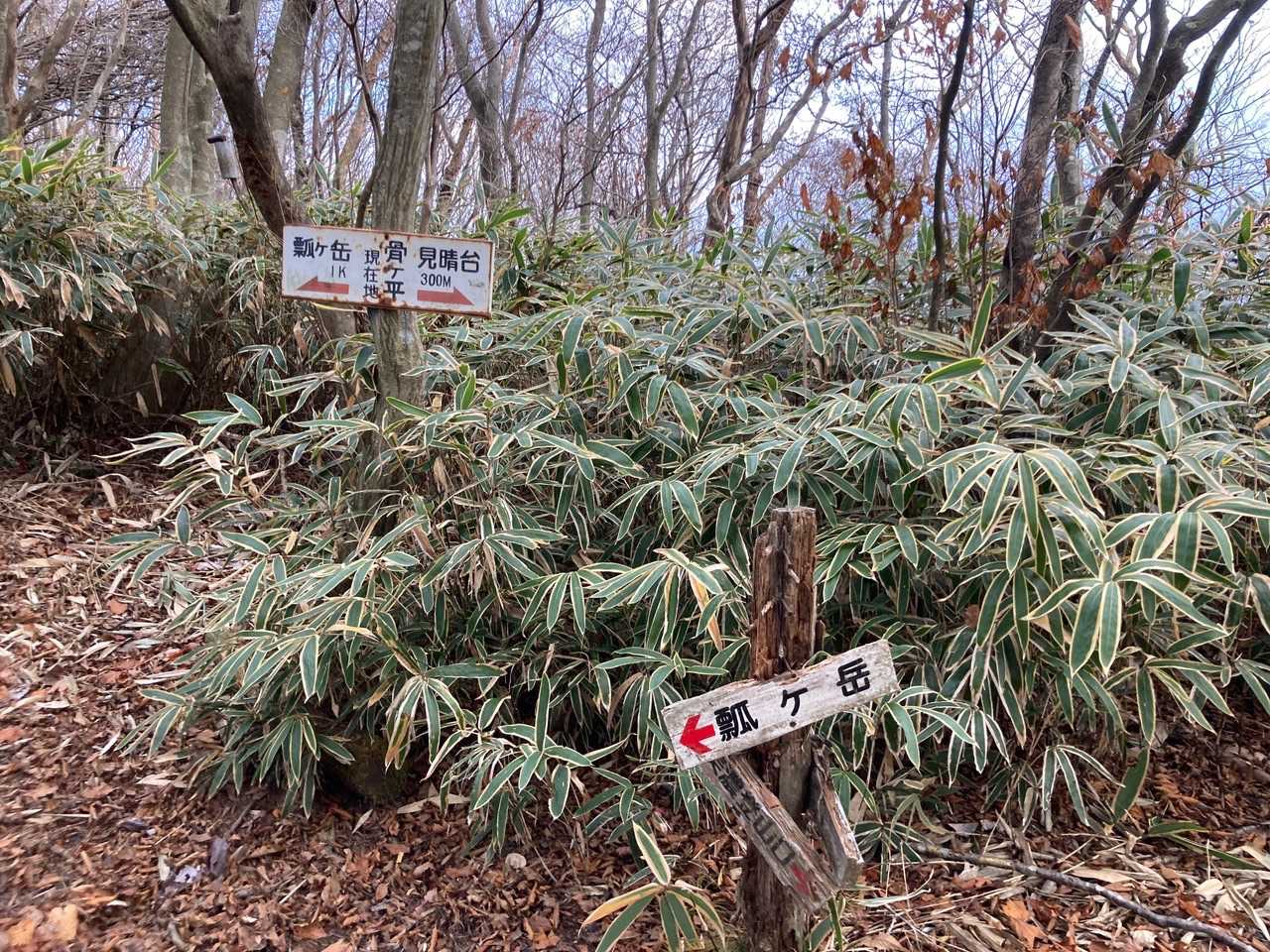 分岐でした😅がっかり（笑）
瓢ヶ岳1キロ。
「何分」なら短縮できるかもだけど、キロは無理だね…。
ちょうど昨日友達と、1キロは近いかどうかの話題があったな〜。どうかな？
