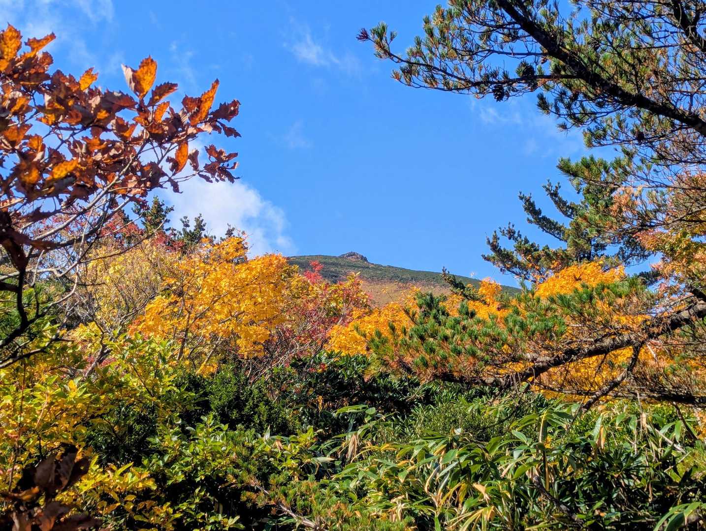 泥濘が結構あるけど、三ツ石より全然マシ😆
奥に山頂らしきポッコリも見えてテンション⤴️