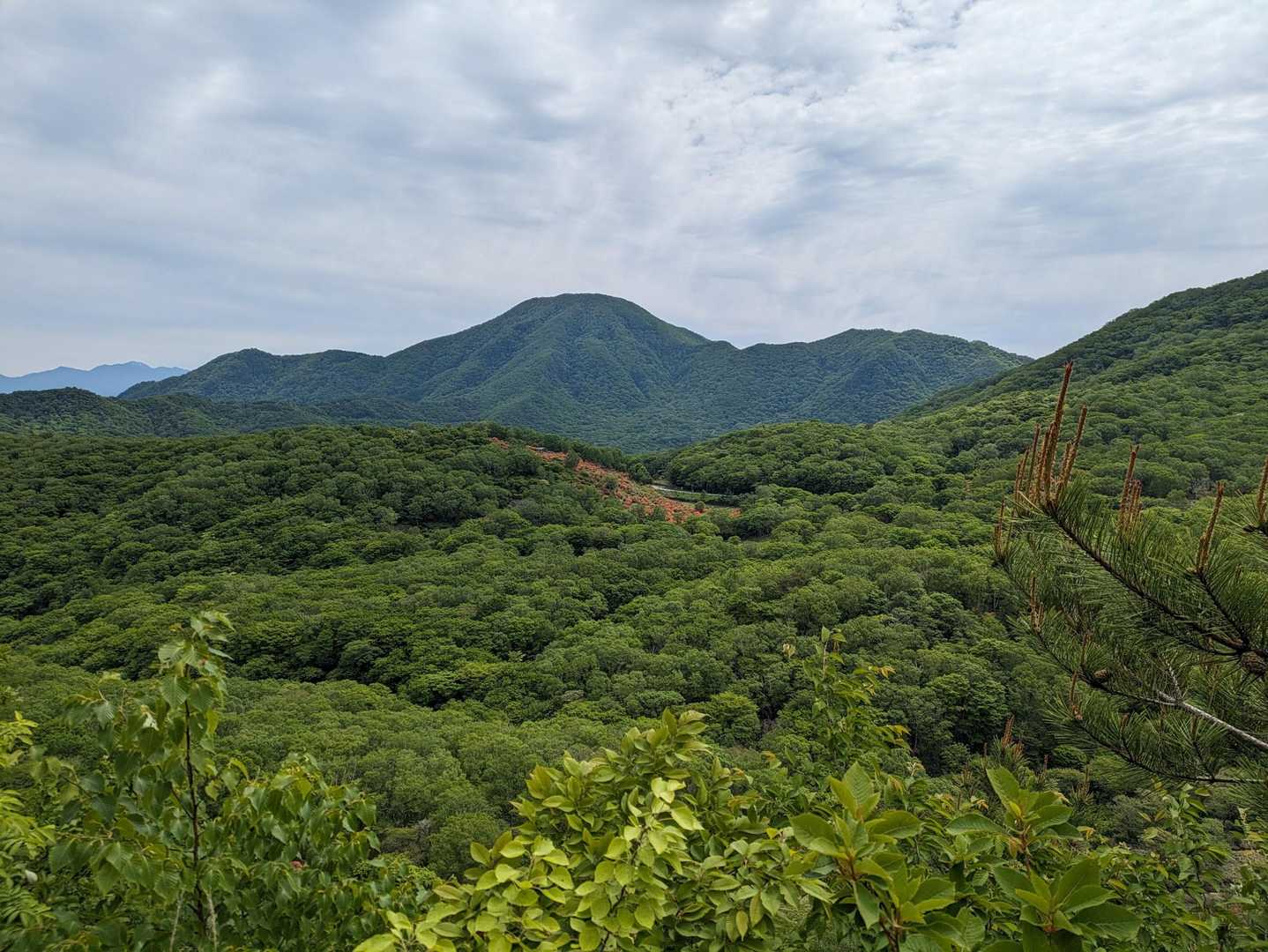 姥子山-鍬柄山-鈴ヶ岳 往復コースの写真