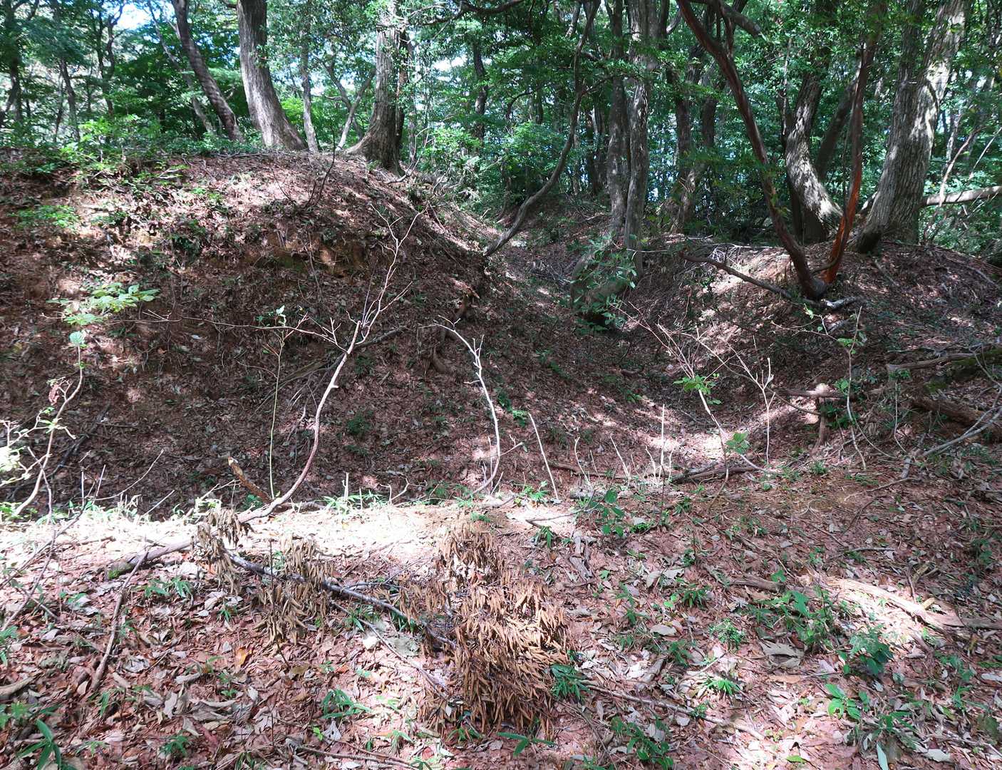 廻りには横堀って言うのか・・・