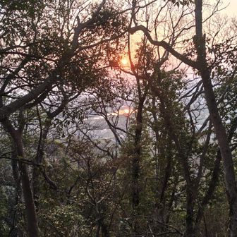 日本の夜明けぜよ