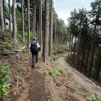 すぐ横にはシャバの世界、左脇にあったと思われる浅間山を踏み逃す。