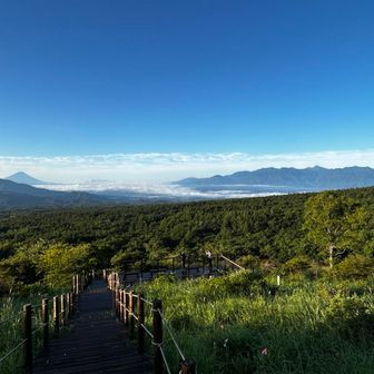 美し森に登る階段の上から振り返り
雲海の奥に富士山と南ア
東尾根は美濃戸と違ってこれが魅力♪