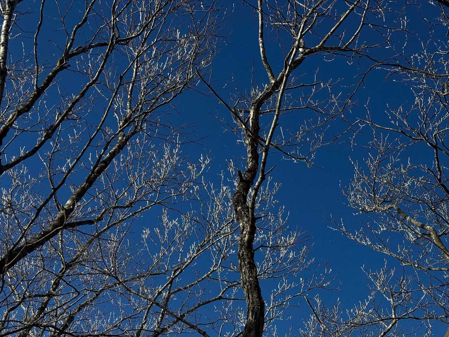 空を撮るしかなかった❄️