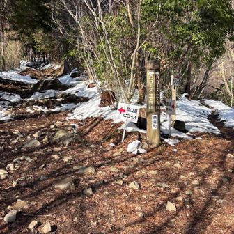 綺麗に溶けたなー☃️