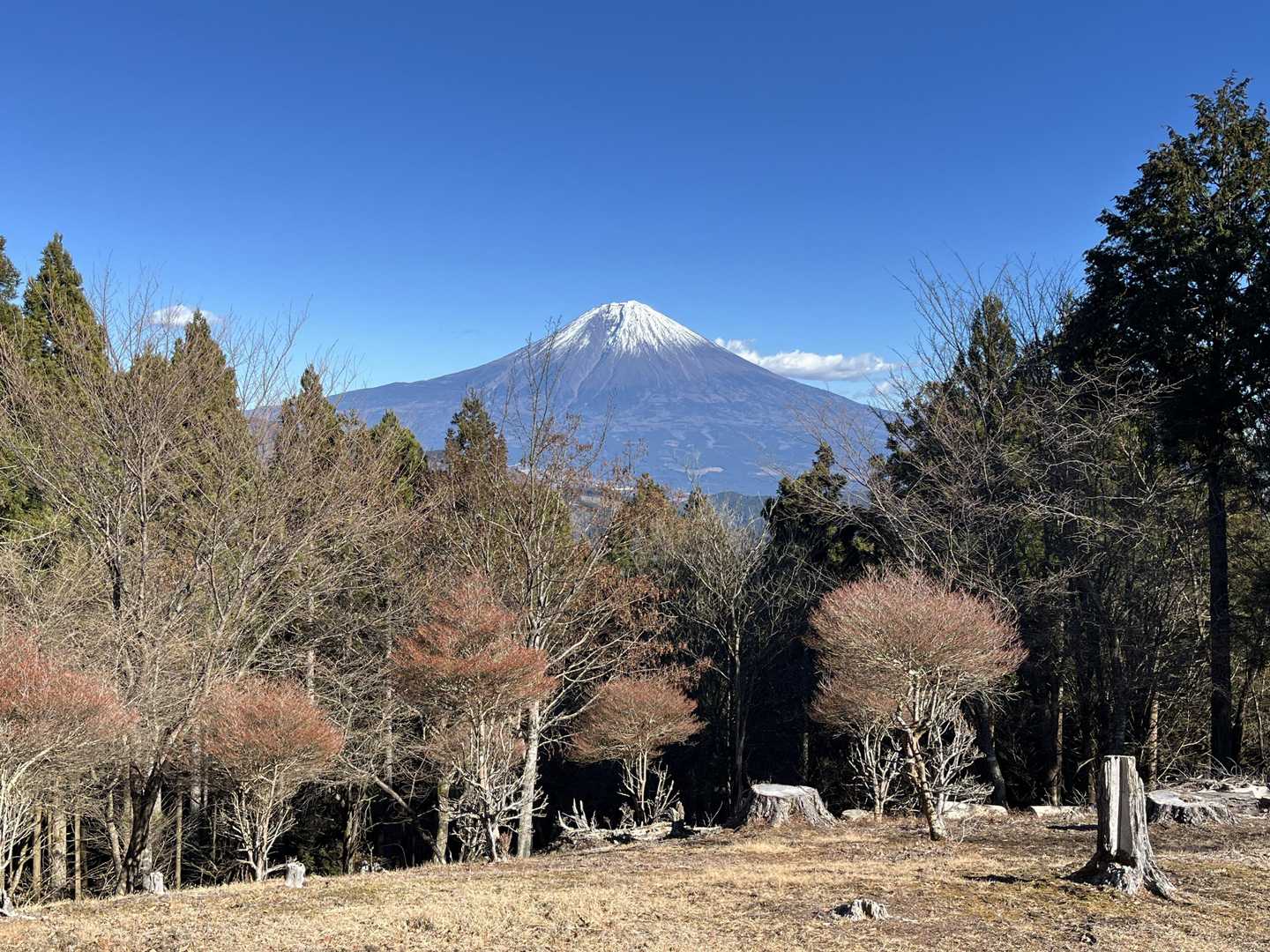 思親山（上佐野集落）＜佐野峠＞の写真