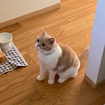 まる