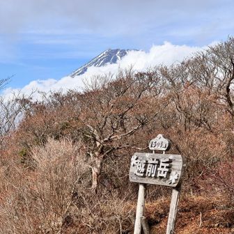 越前岳からは、富士山の頂上はかろうじて見える程度で残念