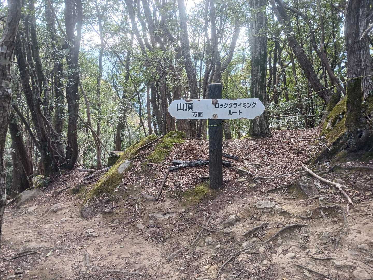 クライマーは→　ロープ張られてました