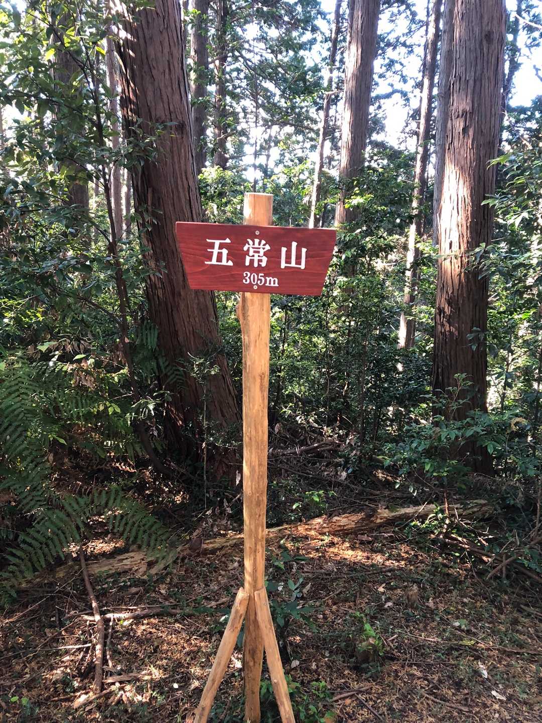 途中からはまた歩きやすい道でした。五常山に着きました。