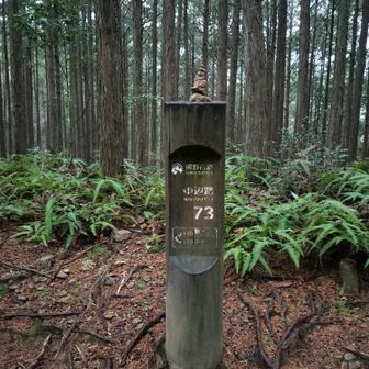 熊野古道 小辺路 オリエンテーリング