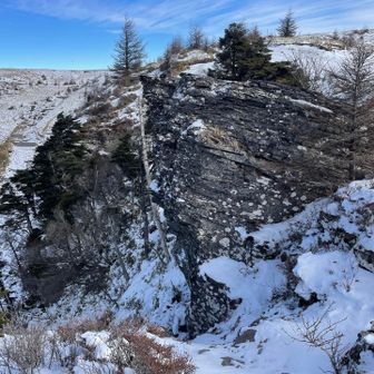 この岩の形状は、ちょこちょこ見ますね😉🪨
手をかけるところいっぱいだな〜🧗‍♂️