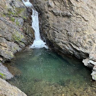 地元に住んでて初めて来ました！
