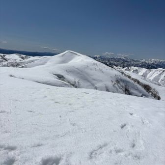 生ホイップクリーム😍