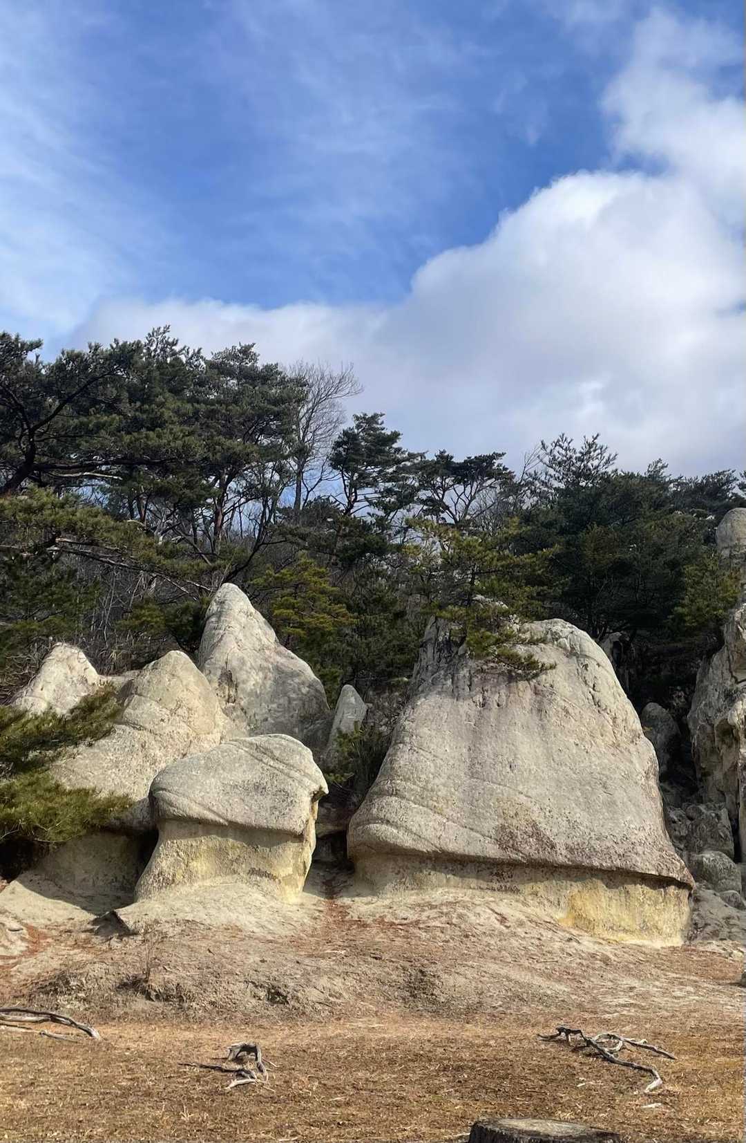 最後にもう一度🍄‍🟫🍄‍🟫🍄‍🟫
奇岩がたくさんの浄土松山でした
ありがとうございました😊