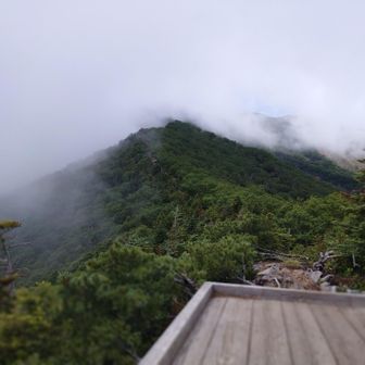 帰る頃には、ガスでいっぱい。
早朝スタート正解でした。