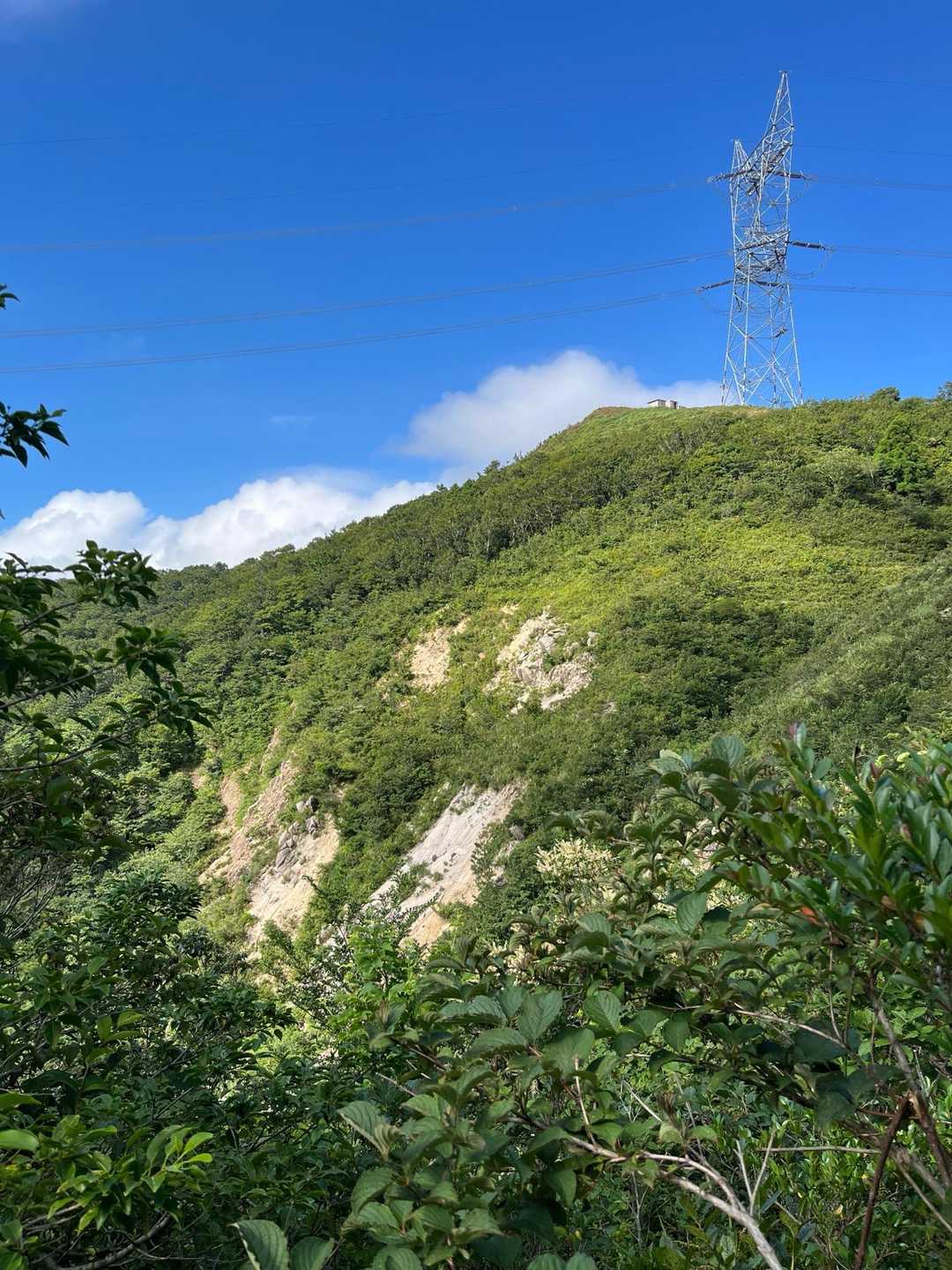 稜線出ると草原地帯