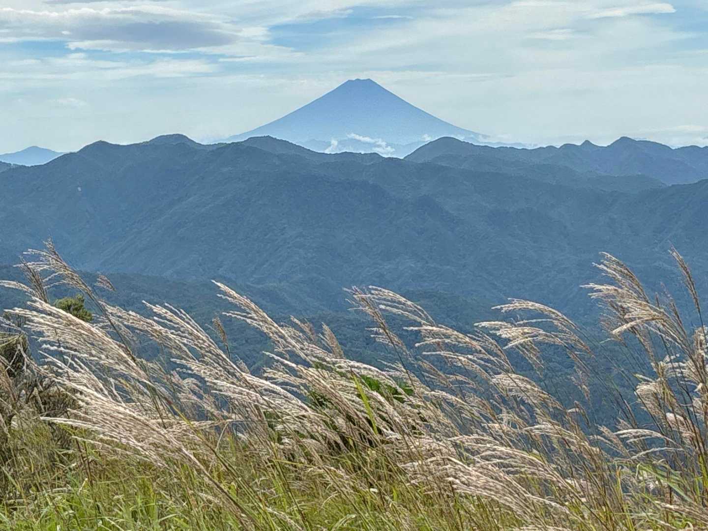 カヤトの原ちょっと手前の高台からの富士山。ススキと調和して秋の風景です！素敵！