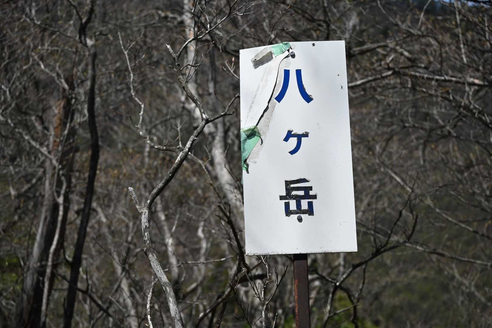 十二ヶ岳登山道入口-ミネ山-毛無山-十二ヶ岳-桑留尾登山口 縦走コースの写真