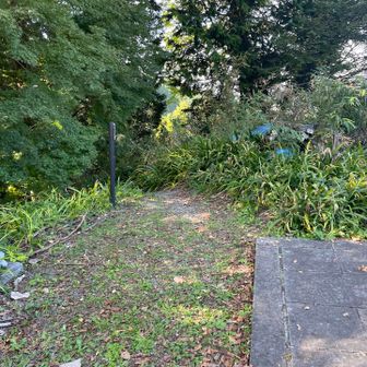 下山します☺️下山は駐車場🅿️の隙間のここから⤵️