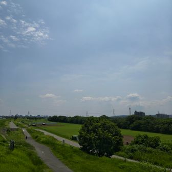 長閑な多摩川河川敷。