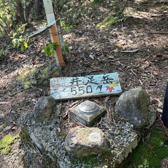井足岳に到着。
三角点あります。