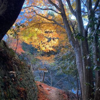 この写真をカバー写真にしよう。