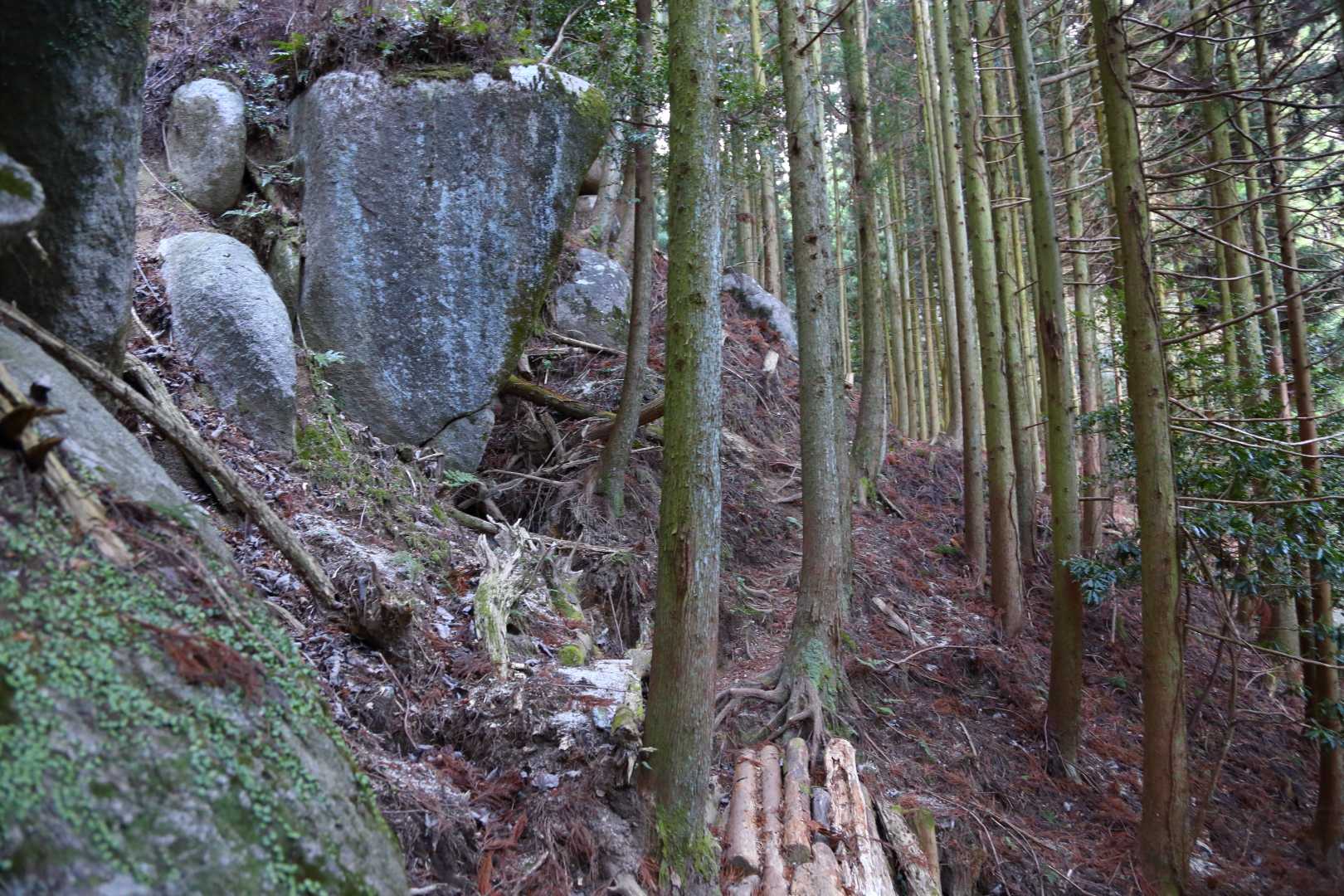 逢拝所登山口-馬見山-宇土浦越 周回コースの写真