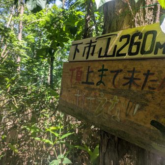 ここが山頂