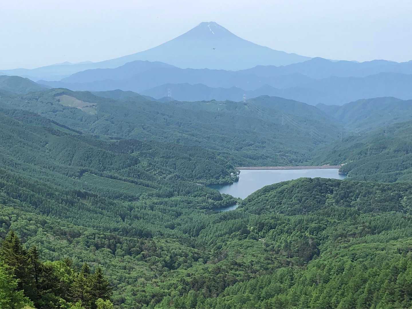 霞んでますがほぼ青富士