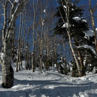 昼食場所から上の方をながめる