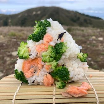 鮭とブロッコリーのおにぎり🥦
東雨乞岳で休憩