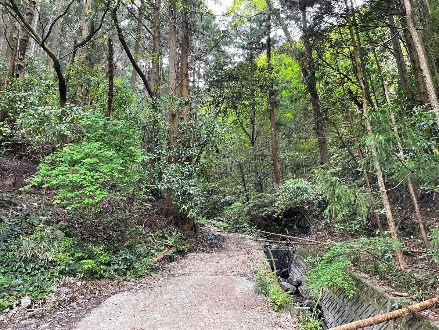 ここからは山道です。