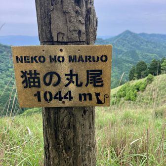 眺望あり