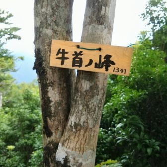 ④座目✨️牛首ノ峰🙌