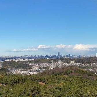 太平山からの横浜