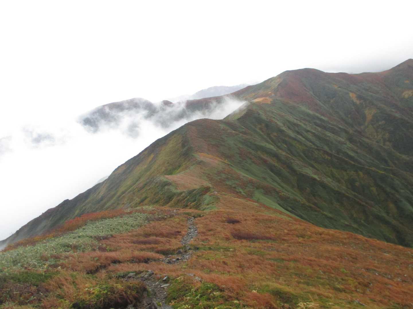 竜門山と竜門小屋が見えた