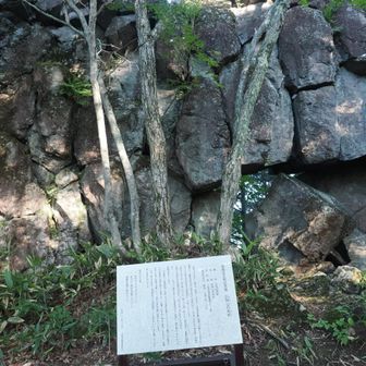 谷を登っていくと尾根上へ。左に的岩。