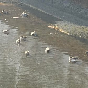 今日の晩ご飯は
うどんで決まりだな◥█̆̈◤࿉∥

あ⁉️
カモネギうどんが大好きなTでした🦆
ギャハハハハハハハハハ🤣🤣🤣