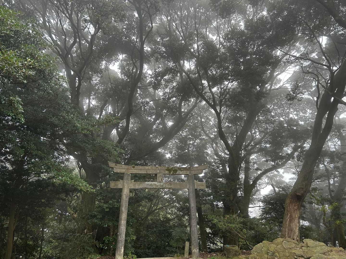 小雨が降っています