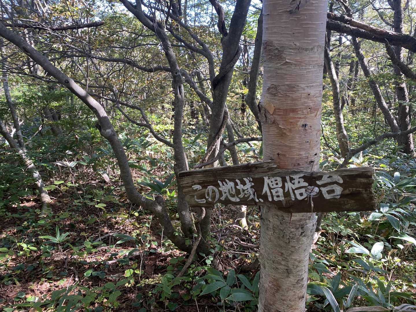 塩沢登山口-安達太良山-鉄山 周回コースの写真